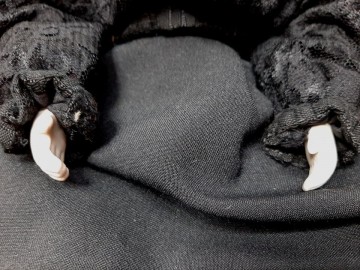 27317898051349138532281283134310374684624089n