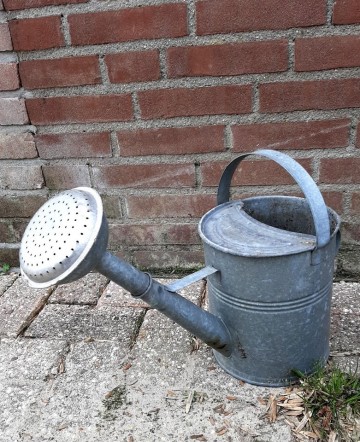 27327811447719054529087692359920231665386579n