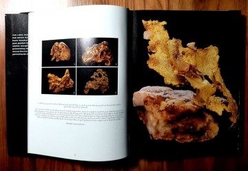 2734000674845949978829101376584209405400112n